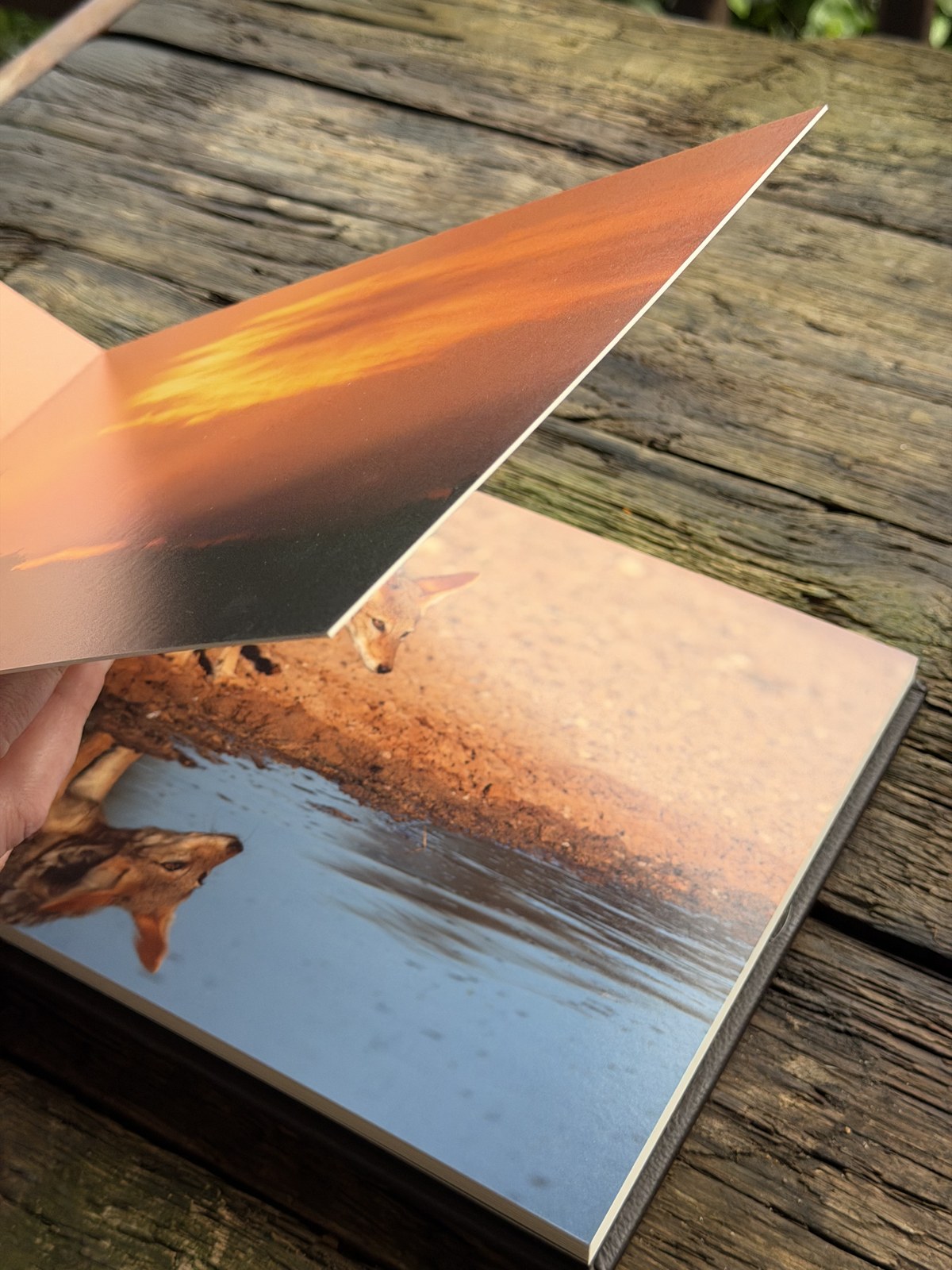 Thick mounted album page lifting to reveal a warm sunset photograph beneath